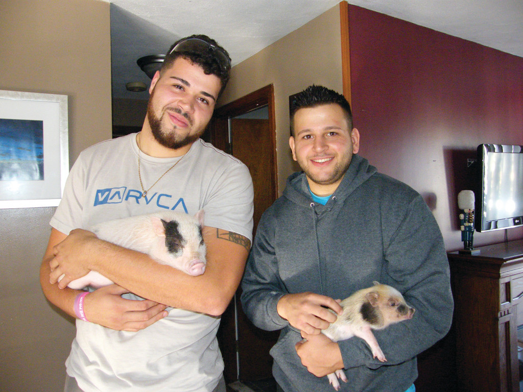 Victor Kinoian (left) and his step-brother, Joe Palazio, each hold a micro pig. Kinoian plans to breed and sell the pigs come the spring.