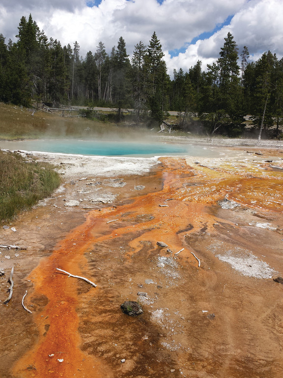 SUCH UNUSUAL COLORS: I didn’t realize that Yellowstone also included geothermal areas with hot springs, geysers and mud pots.
