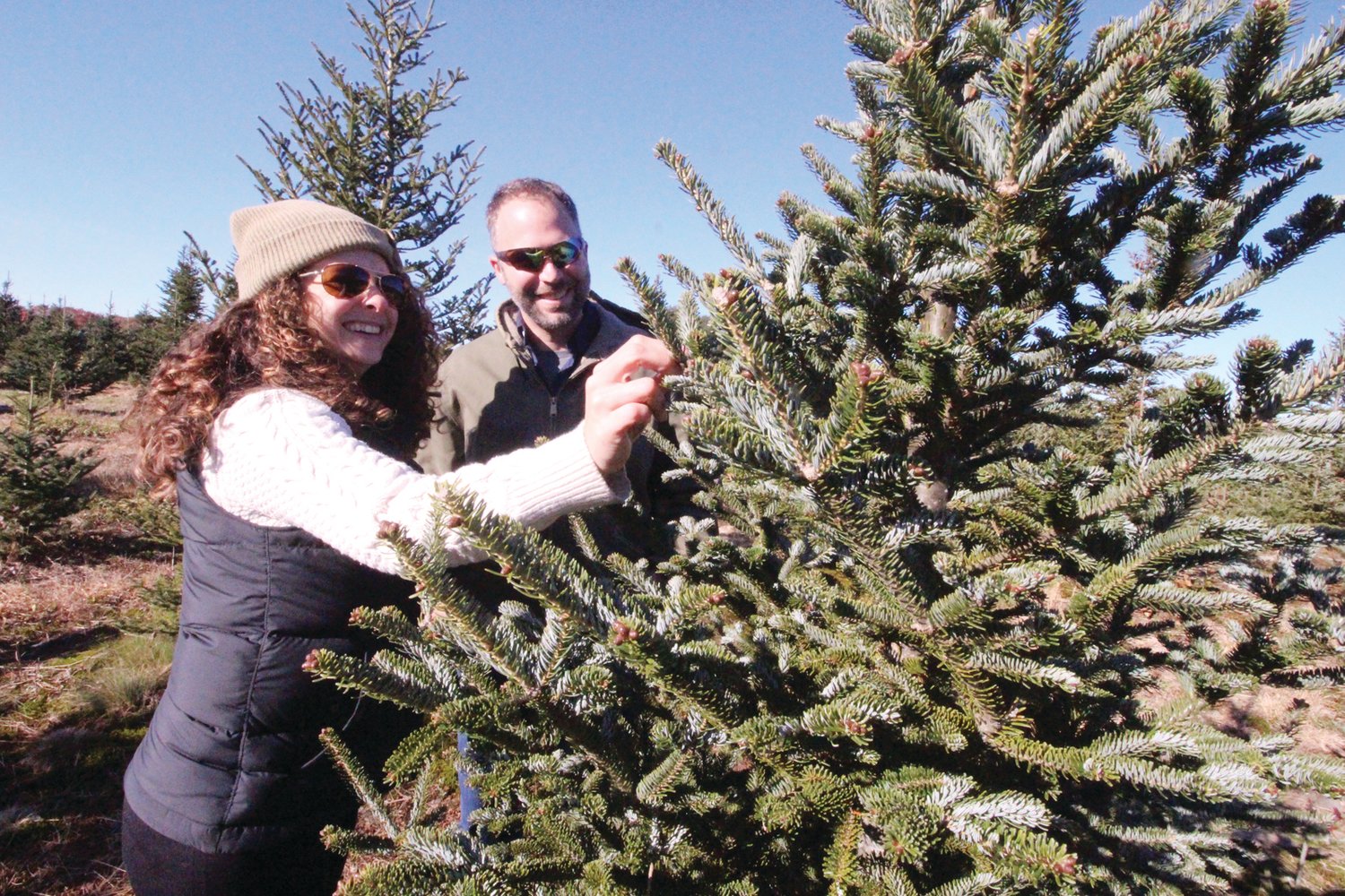 NEXT STOP: HOME: Matt and Jacqueline Travisono with the tree they selected at Big John Leyden’s Tree Farm in West Greenwich.