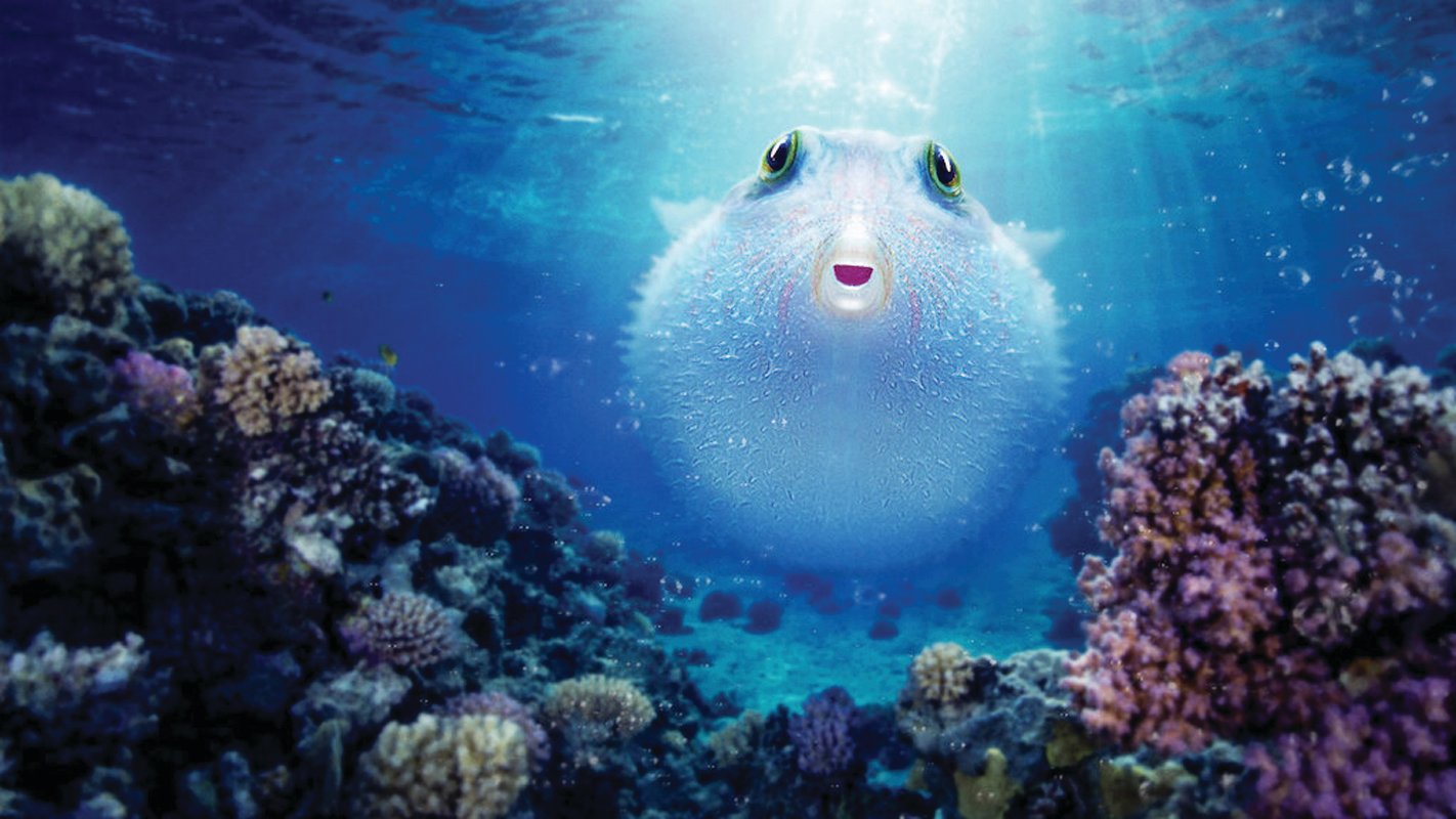 “Puff, Wonders of the Reef” is a delightful documentary now streaming on Netflix.
