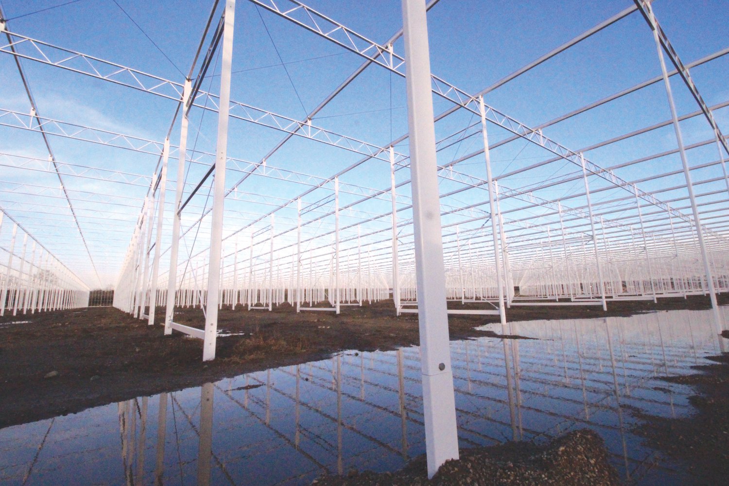 CONTROLLED ENVIRONMENT: Pillars define the framework for the 25-acre greenhouse that when completed will make every day July 27- the best day of the year to grow tomatoes.